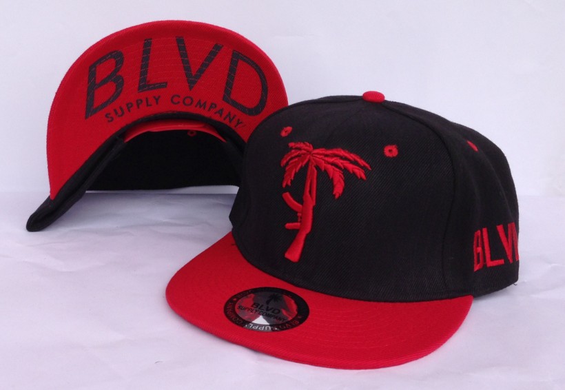 Blvd Supply Snapback Hat #10